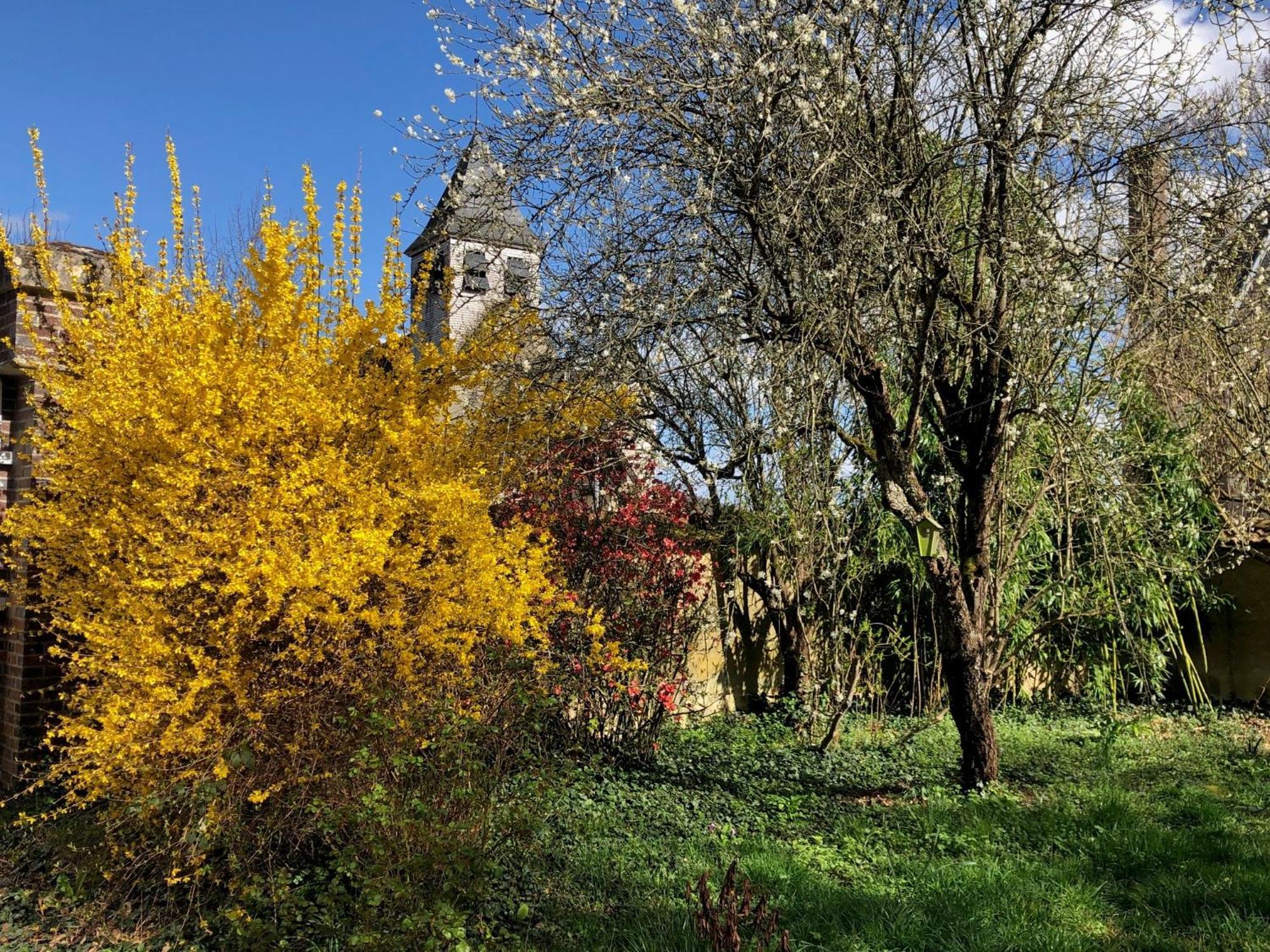 La Demeure D'Othe Sormery Exterior foto